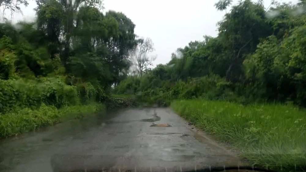 Trânsito impedido na estrada de Fidalgo