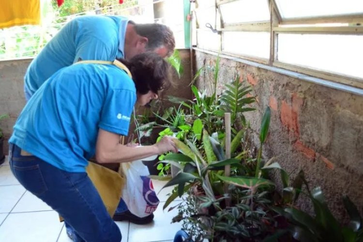 JF intensifica combate à dengue