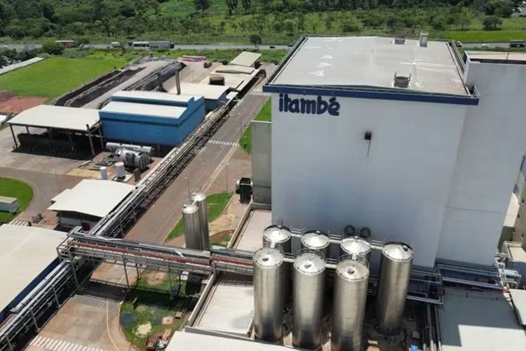 Lactalis investe R$ 291 milhões em Minas