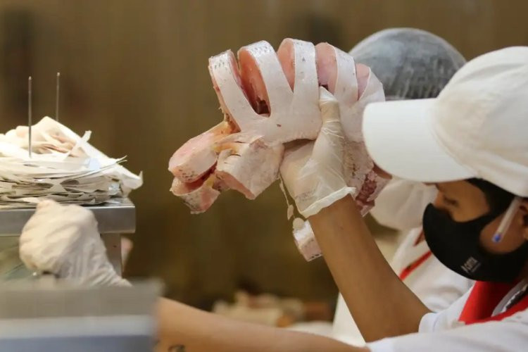 Pescado aumenta de preço em Uberlândia