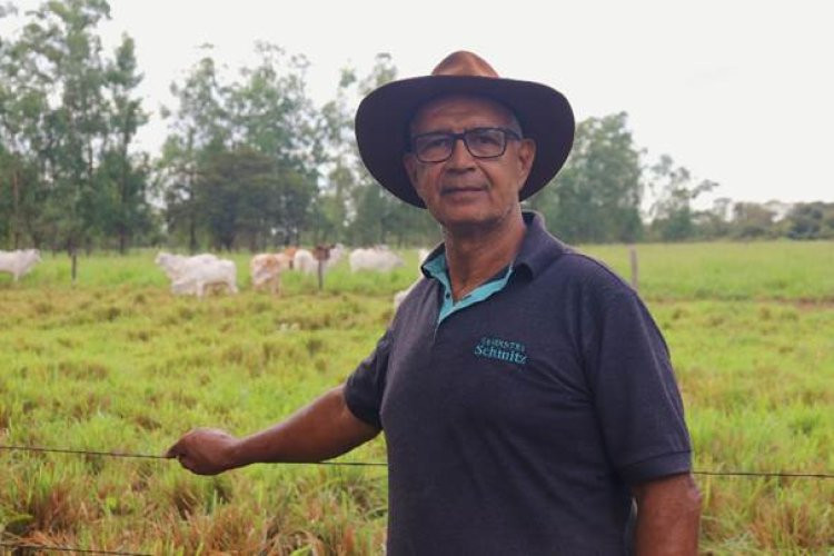 Pecuaristas do Norte de Minas investem em leilões