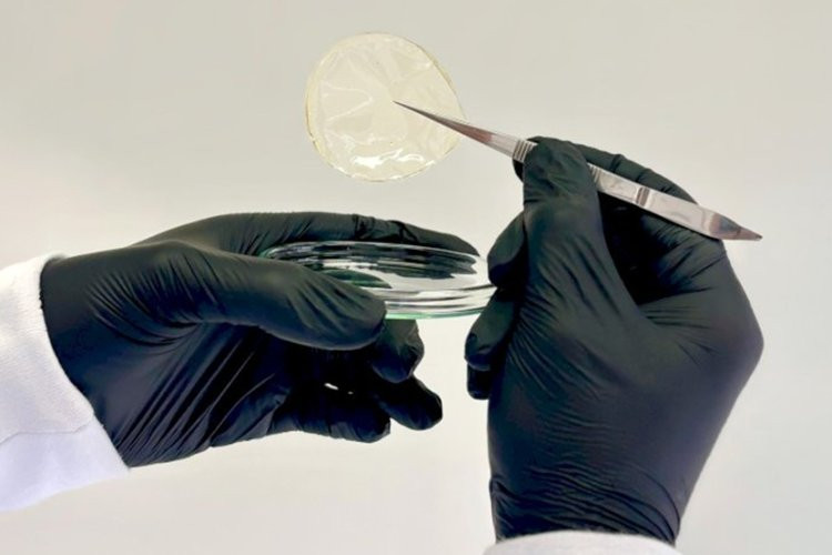 UFV cria curativo biodegradável