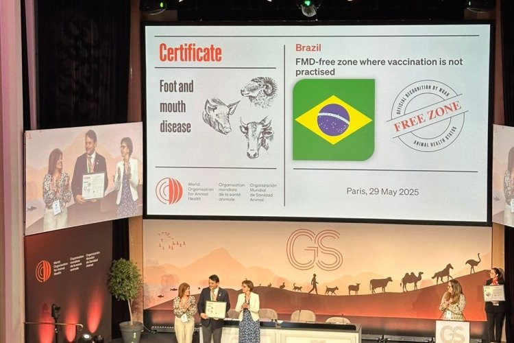 Brasil livre de febre aftosa sem vacinação