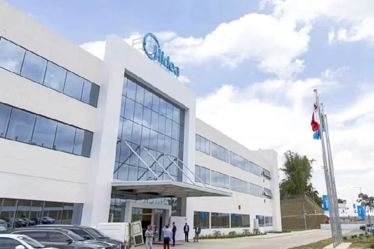 Multinacional anuncia expansão no Sul