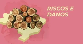 Retrocesso na política ambiental brasileira