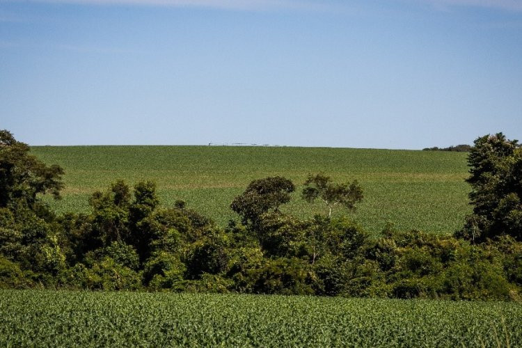 Funrural, qual a melhor opção?