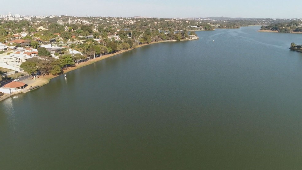 Calor extremo e falta de chuva causam mortandade de peixes na Lagoa da Pampulha